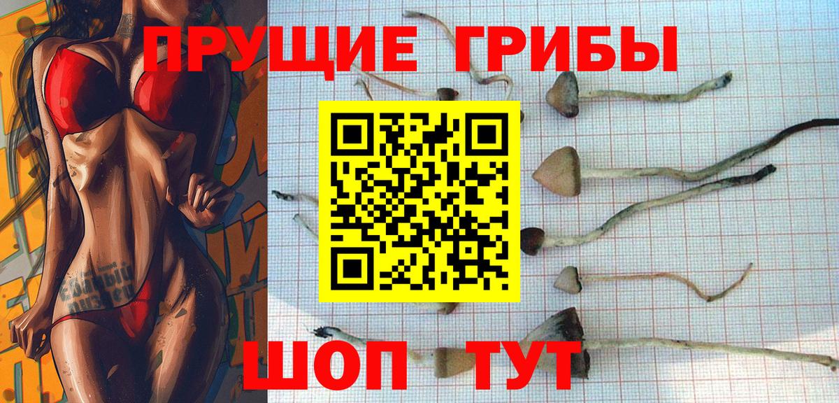 Лысьва  Галлюциногенные грибы GOLDEN TEACHER  Вход с VPN 